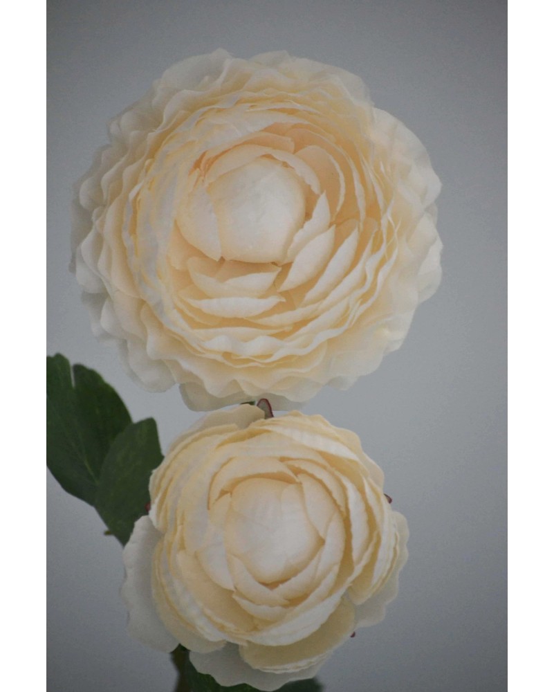 Vara de Ranuculus 50cm, varios colores