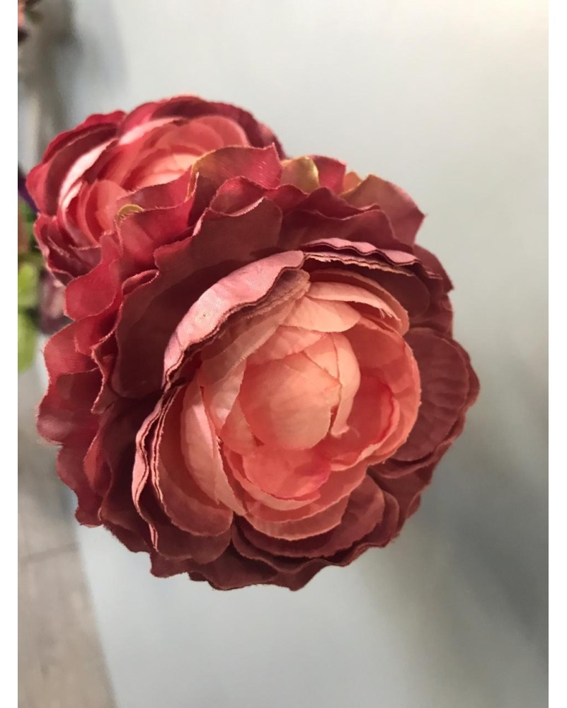 Vara de Ranuculus 50cm, varios colores