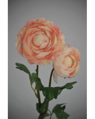 Vara de Ranuculus 50cm, varios colores