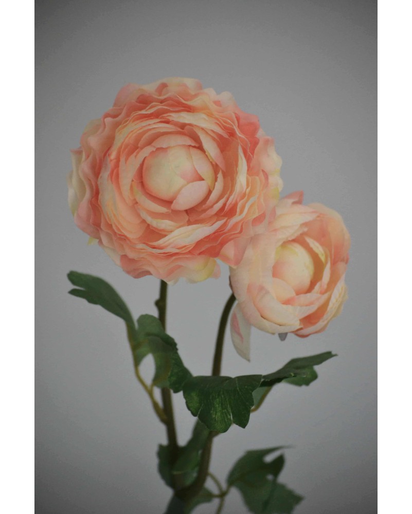 Vara de Ranuculus 50cm, varios colores