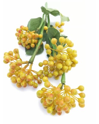 Vara de semillas de pirul de 35cm de altura, verde y amarillo