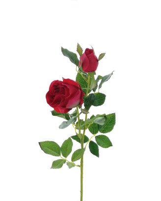 Vara de rosa con boton 68cm, varios colores