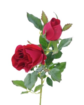 Vara de rosa con boton 68cm, varios colores