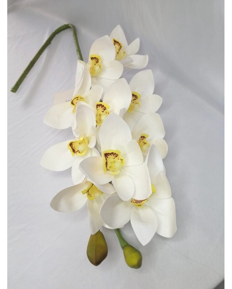 Cymbidium  70cm de largo, dos colores