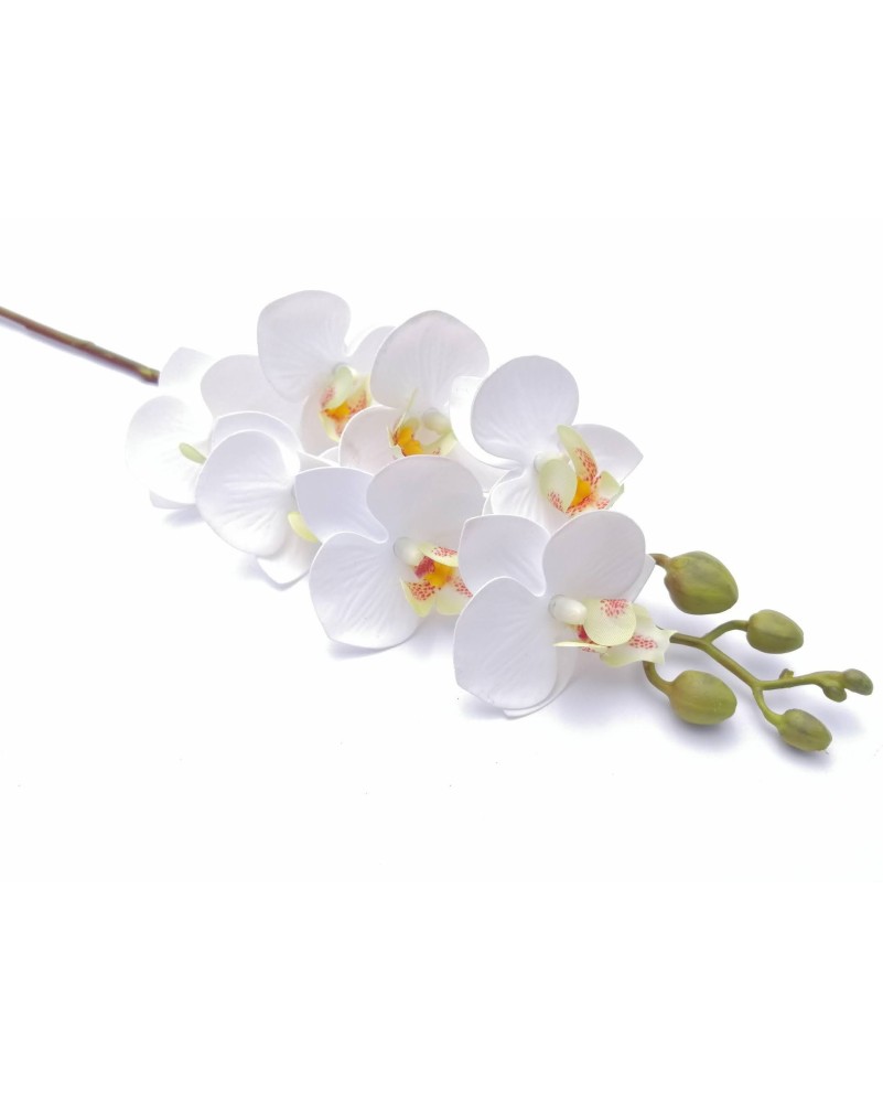 Orquídea chica phalaenopsis de 7 flores, 64cm largo
