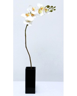 Orquídea chica phalaenopsis de 7 flores, 64cm largo
