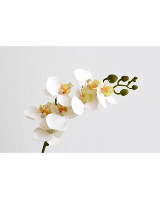 Orquídea chica phalaenopsis de 7 flores, 64cm largo