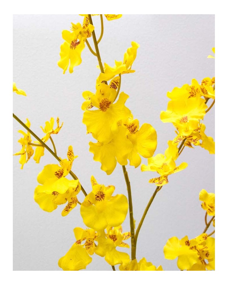 Orquídea Oncidium 85cm largo: amarilla y blanca