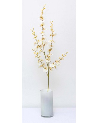 Orquídea Oncidium 85cm largo: amarilla y blanca