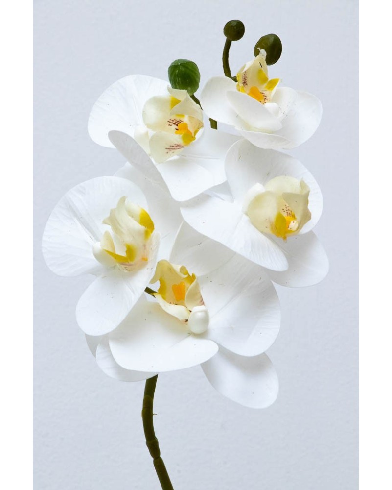 Orquídea Phalaenopsis 4 flores 40cm, tres colores.
