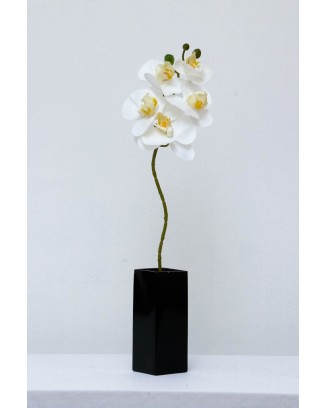 Orquídea Phalaenopsis 4 flores 40cm, tres colores.