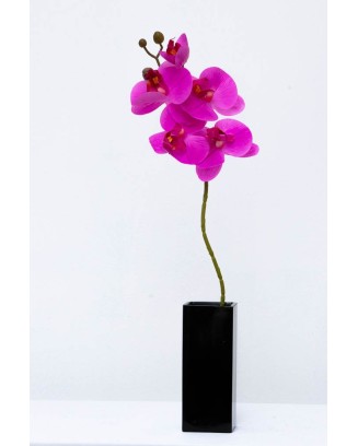 Orquídea Phalaenopsis 4 flores 40cm, tres colores.
