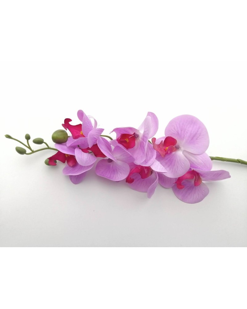 Orquídea phalaenopsis 7 flores 90cm, morada y lila