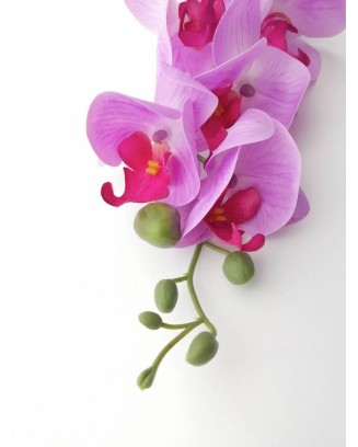 Orquídea phalaenopsis 7 flores 90cm, morada y lila