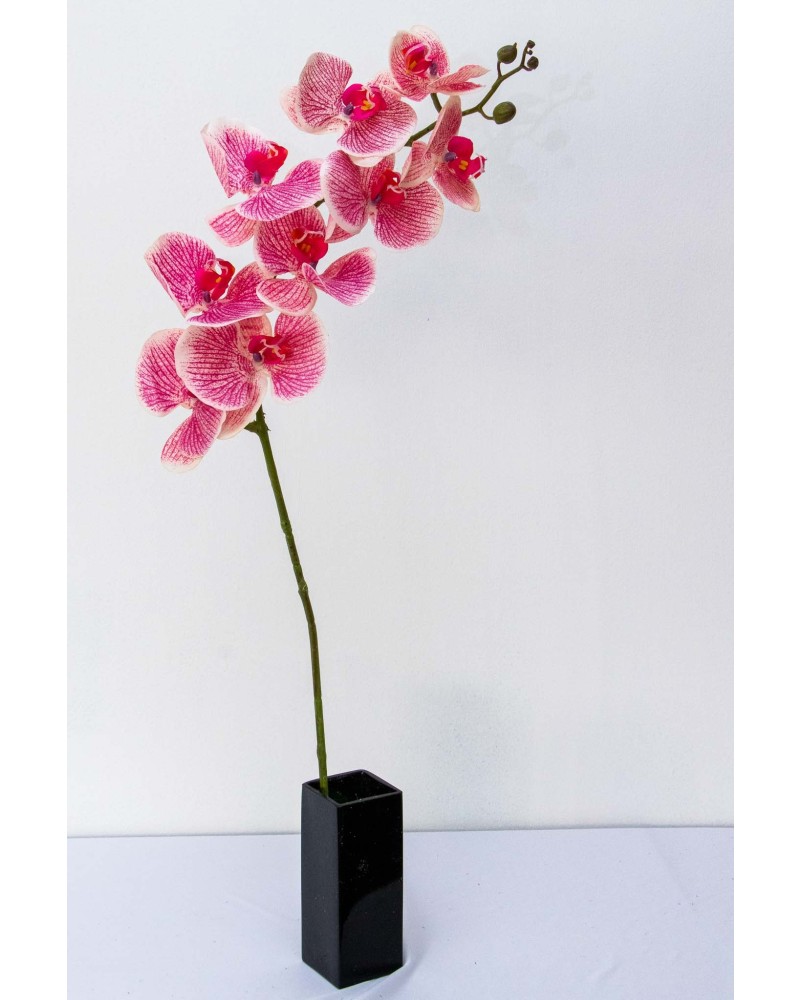 Orquidea Tary 110cm altura, varios colores