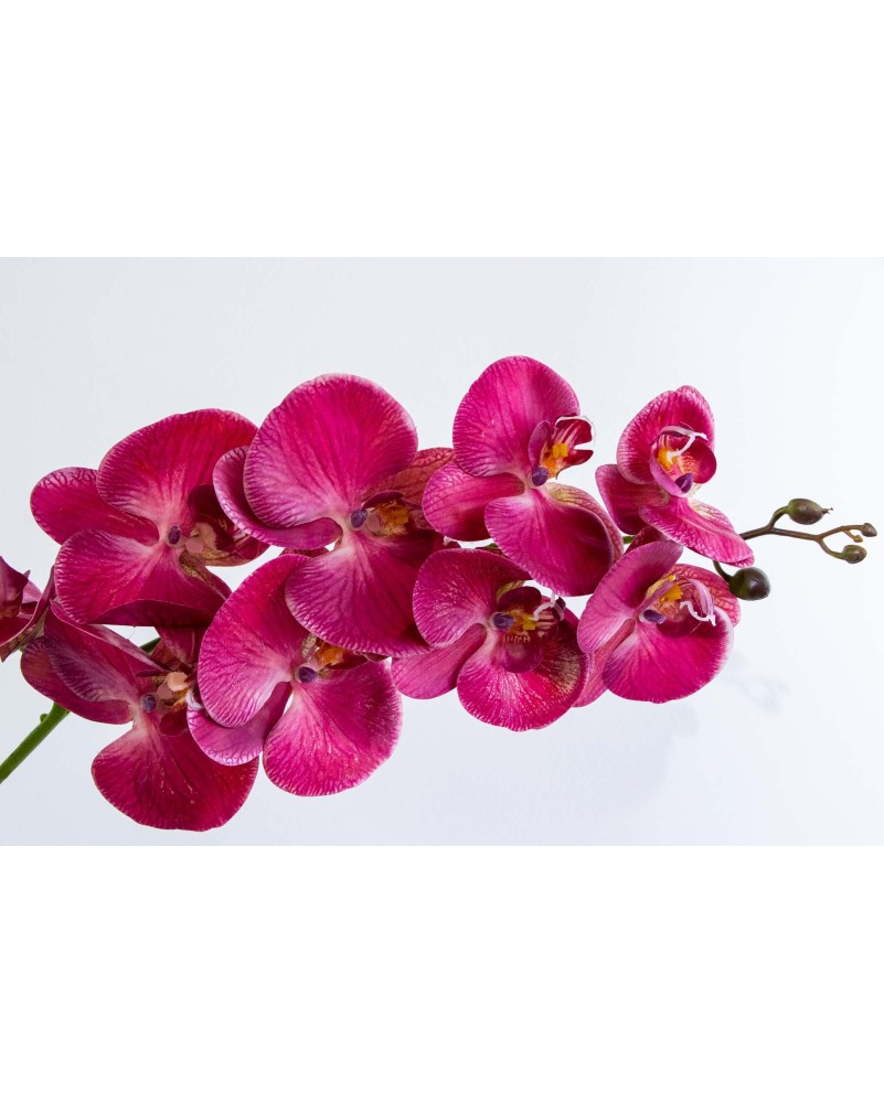 Orquidea Tary 110cm altura, varios colores