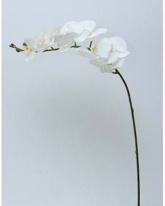 Orquidea Tary 110cm altura, varios colores