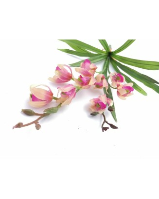 Planta de orquídea con follaje 40cm, rosa y roja