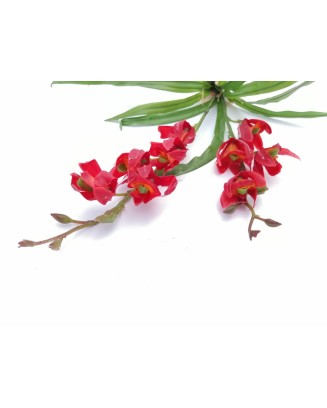 Planta de orquídea con follaje 40cm, rosa y roja