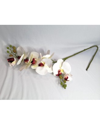 Vara de phalaenopsis tild 80cm largo, dos colores