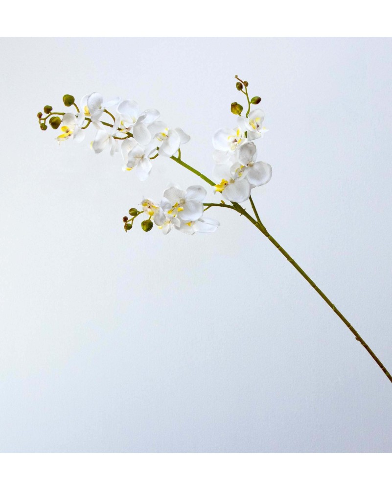 Vara orquídea Niux, dos colores
