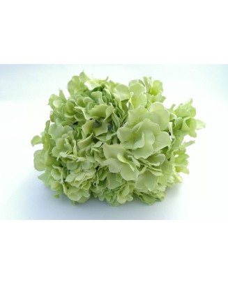 Ramo de Hortensias 7 flores: rosa y verde.