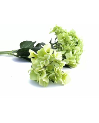 Ramo de Hortensias 7 flores: rosa y verde.