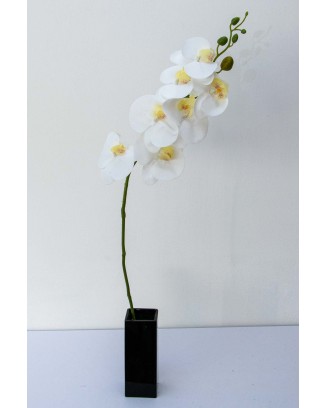 Orquidea phalaenopsis blanca 7 flores 100cm largo.