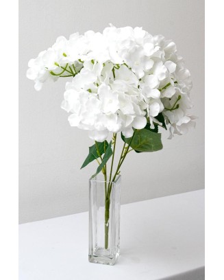 Ramo de hortensias con 5...