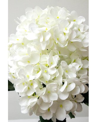 Ramo hortensia vintage blanco con 5 flores