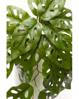 Colgante monstera andasonii 39cm largo
