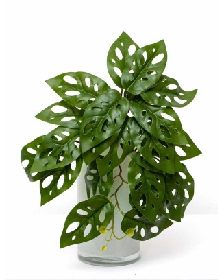 Colgante monstera andasonii 39cm largo