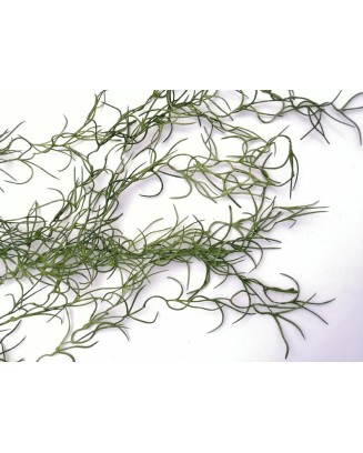 Colgante de zacatillo verde seco 95cm