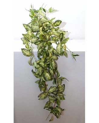 Colgante laurel japonés 105cm largo