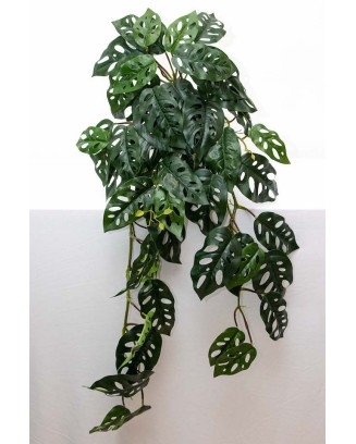 Colgante monstera andasonii...