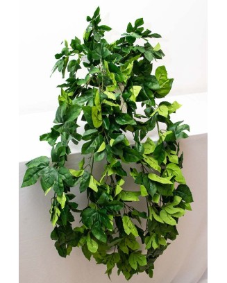 Colgante passiflora 120cm largo, dos colores