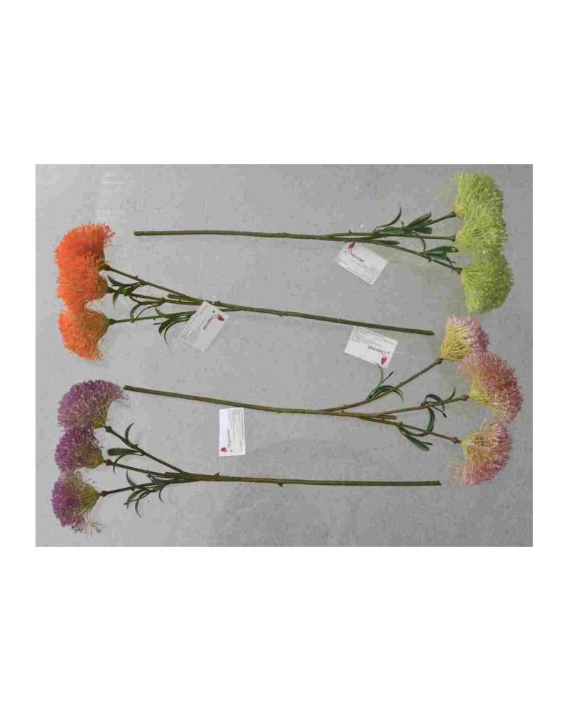 Vara de allium 50cm