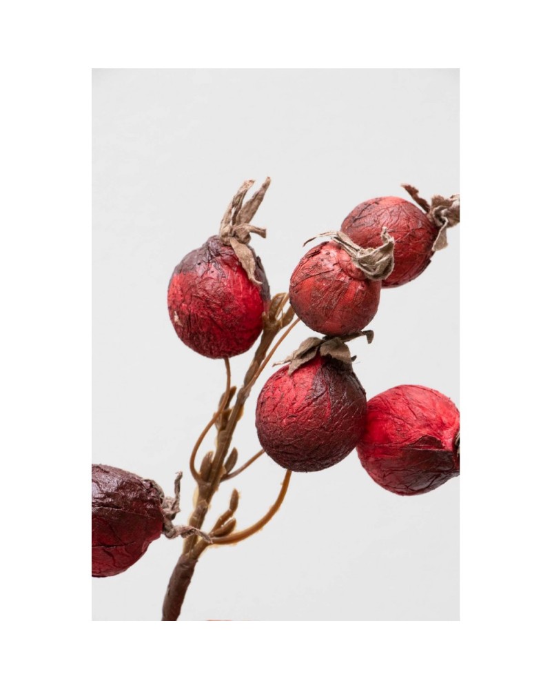 Vara de frutos secos 52cm, 4 colores