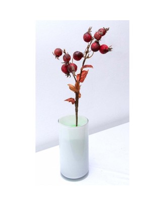 Vara de frutos secos 52cm, 4 colores