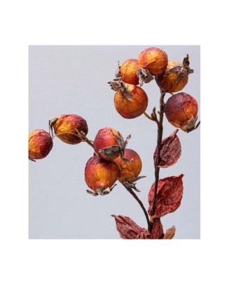 Vara de frutos secos 52cm, 4 colores