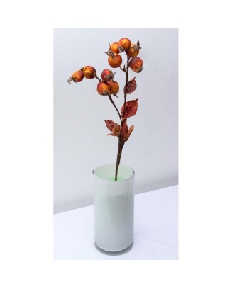 Vara de frutos secos 52cm, 4 colores