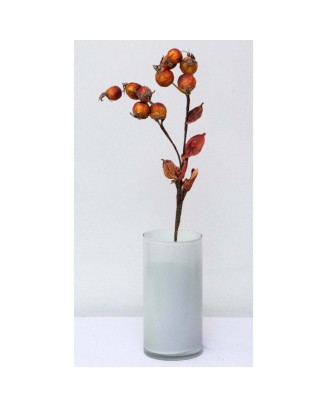 Vara de frutos secos 52cm, 4 colores