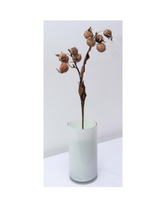 Vara de frutos secos 52cm, 4 colores