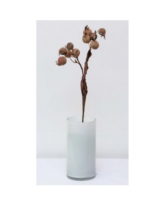 Vara de frutos secos 52cm, 4 colores