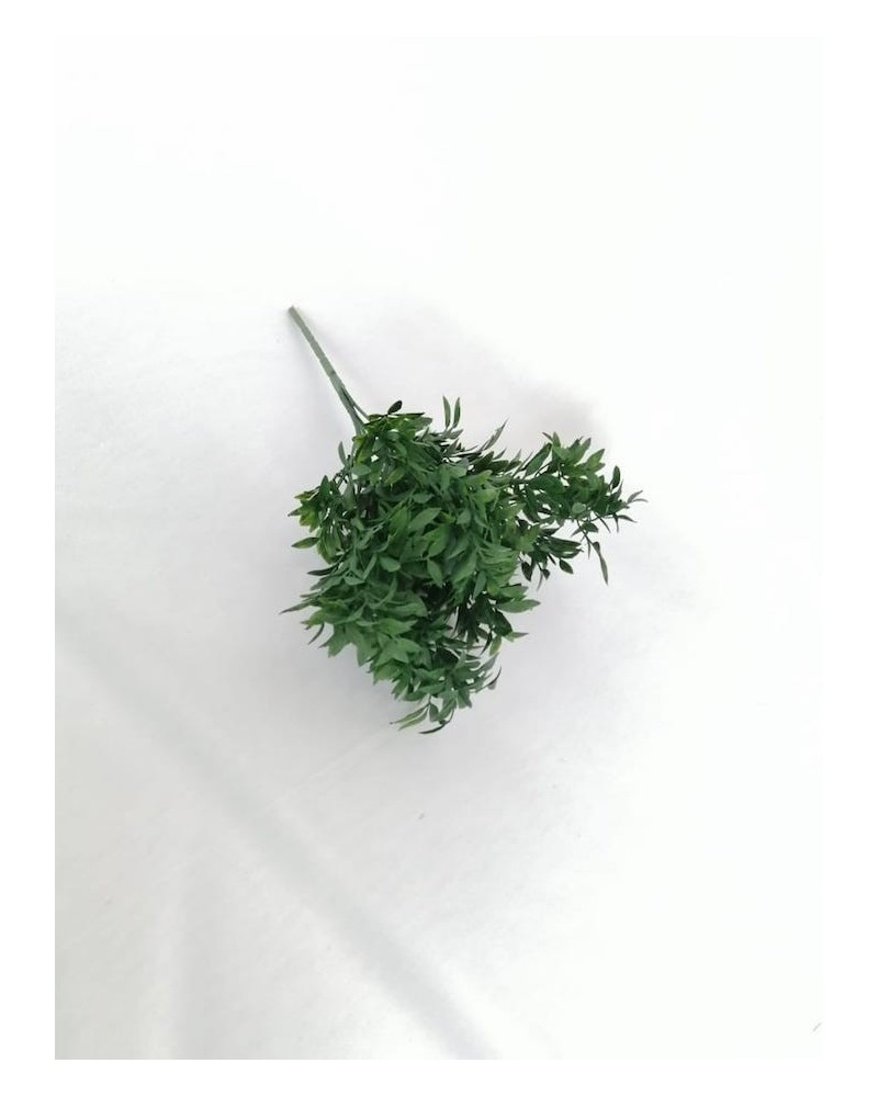Follaje de albahacar 30cm, verde y café