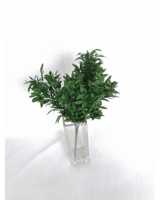 Follaje de albahacar 30cm, verde y café