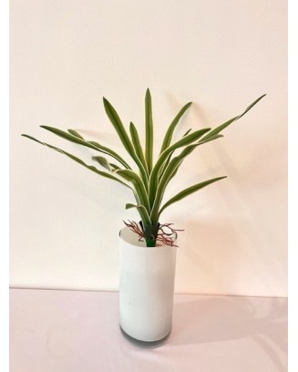 Follaje de listón 38cm y 58cm