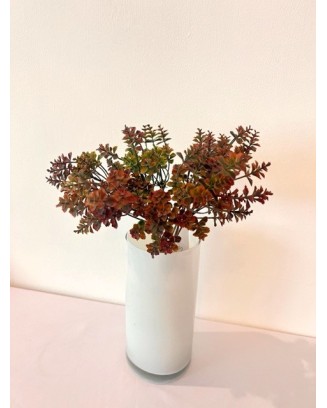 Follaje kalanchoe 30cm, dos colores.