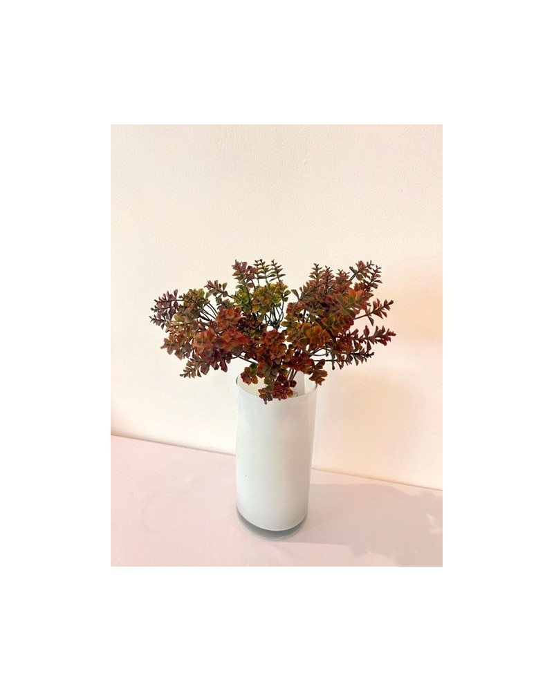 Follaje kalanchoe 30cm, dos colores.