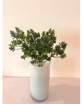 Follaje kalanchoe 30cm, dos colores.